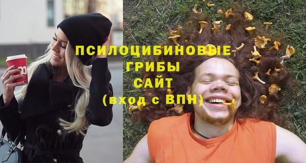 мескалин Богородицк