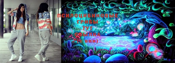 спайс Богородск